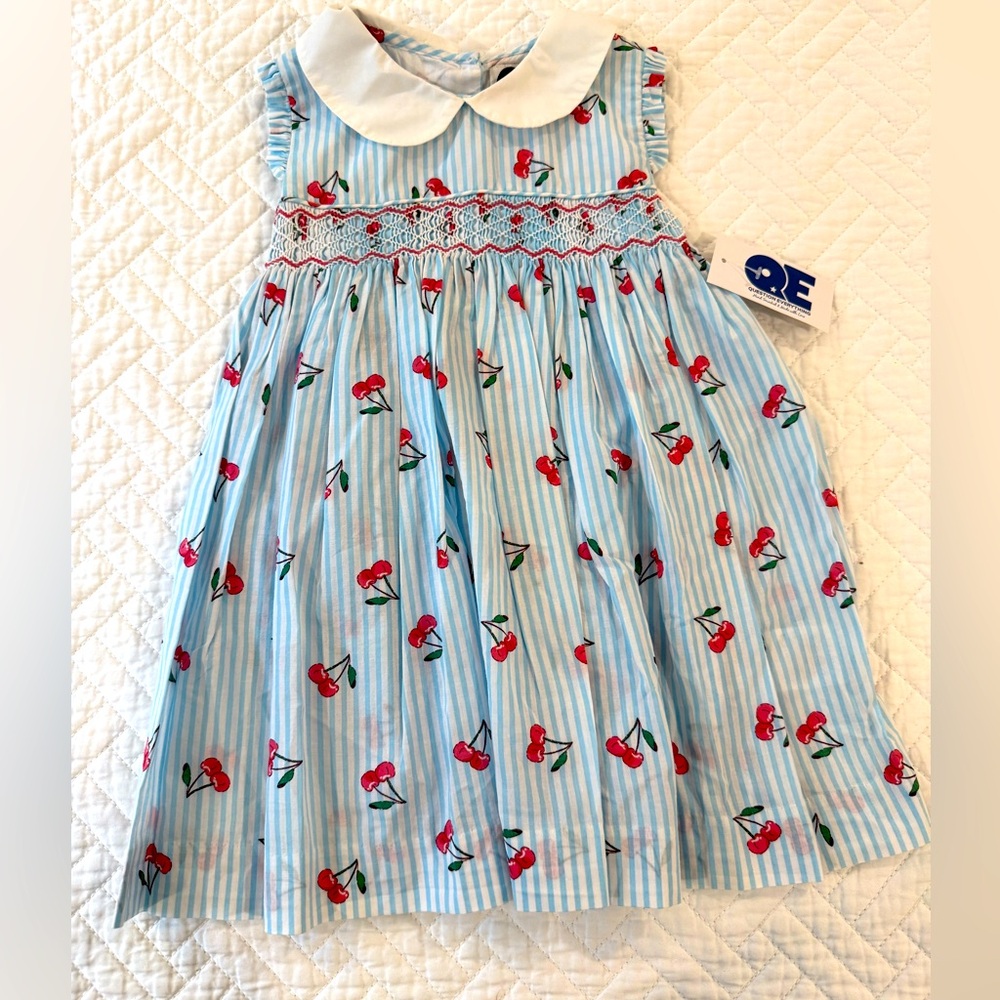 Question Everything Cherry Print Blue Striped Dress NWT